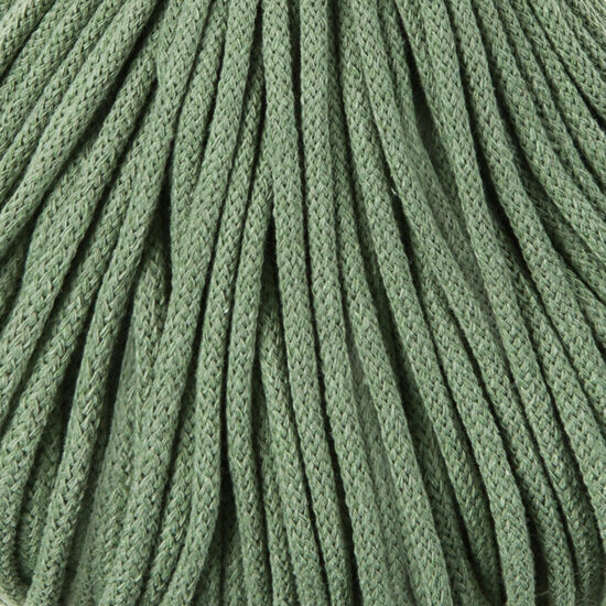 Lielais paliktnis - Eucalyptus Green